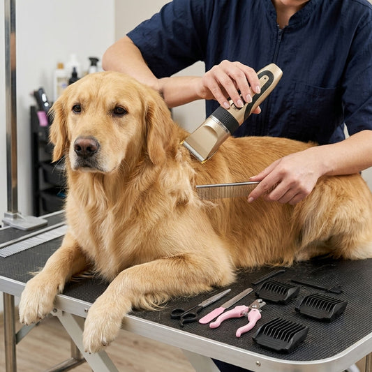Maquina de cortar pelo Mascota con Accesorios