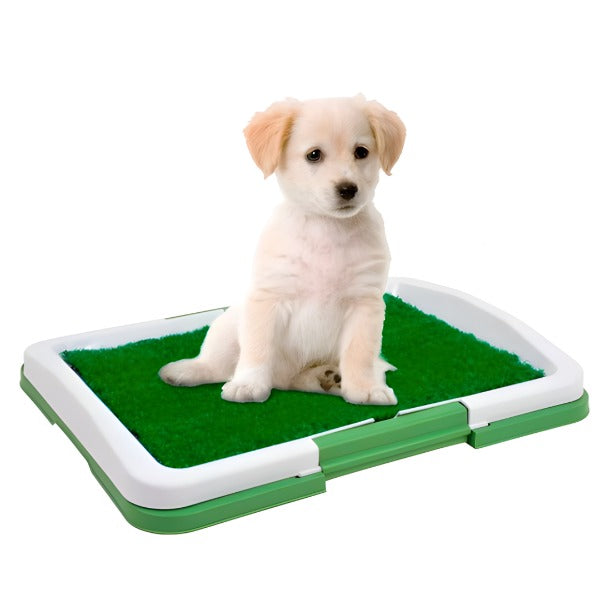 Baño Portátil para Cachorros y Perros Pequeños