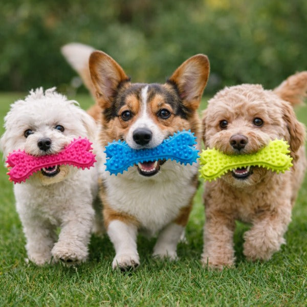 Juguete Mordedor para Perros en Forma de Hueso | Brumako