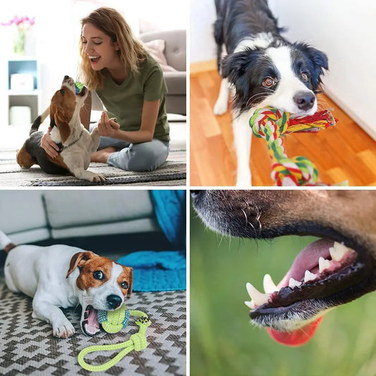Pack 10 Juguetes Para Mascotas, Pelota De Cuerda, Disco Y Más