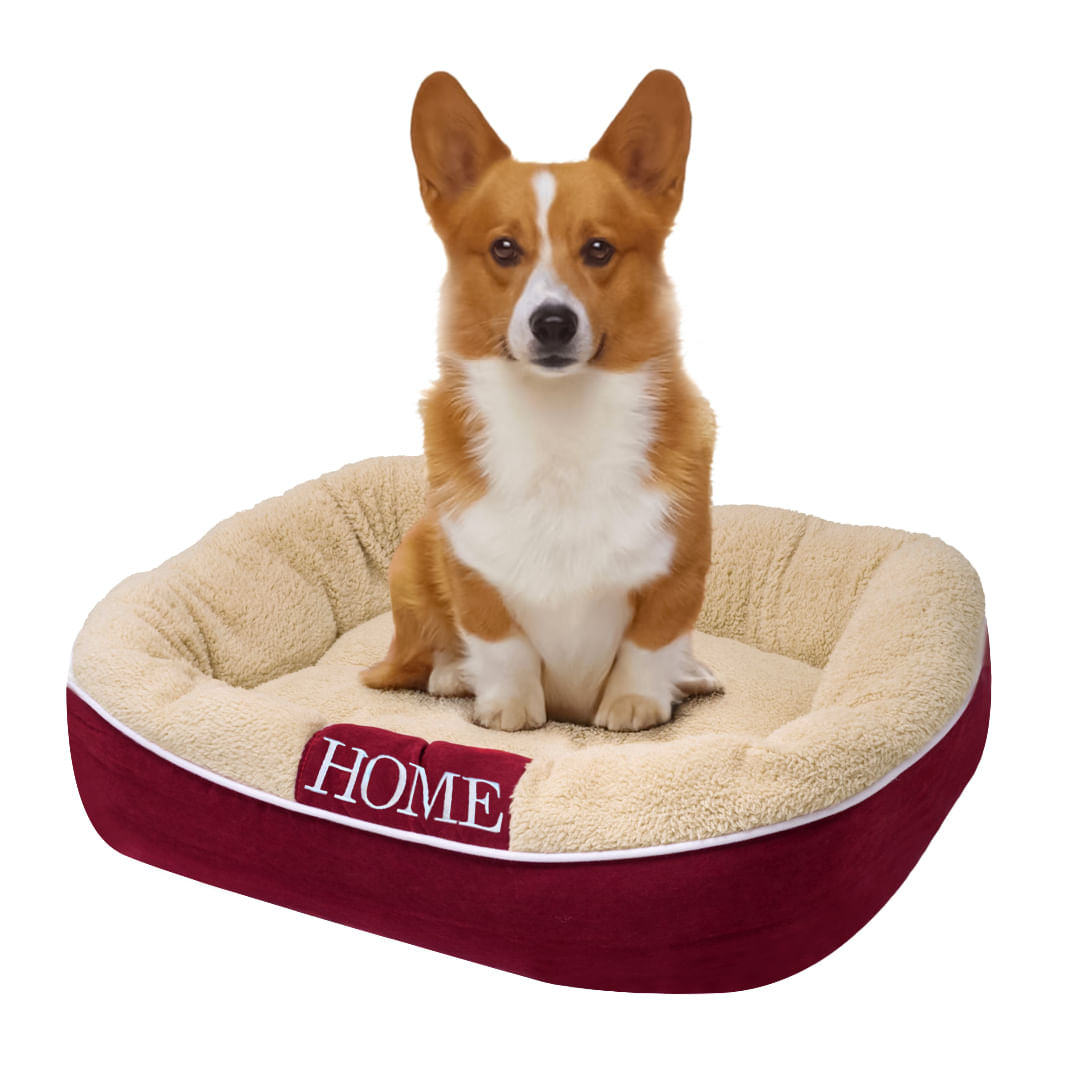 Cama Beige Talla S | Brumako