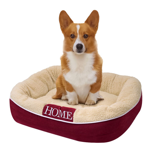 Cama Beige Talla S | Brumako