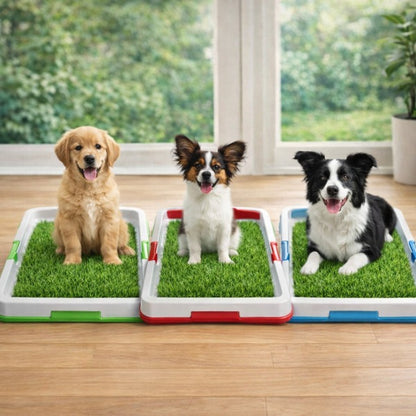 Baño Portátil para Cachorros y Perros Pequeños | Brumako