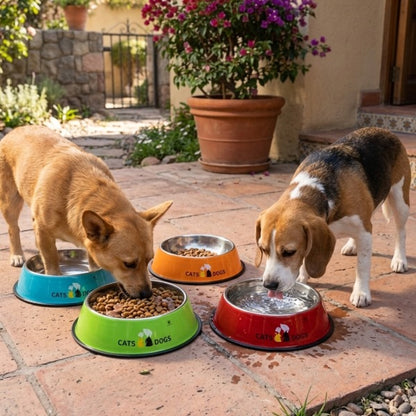 Plato de Comida para Mascotas de Acero Inoxidable de 38 Cms. | Brumako
