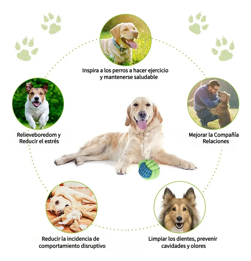 Pack 10 Juguetes Para Mascotas, Pelota De Cuerda, Disco Y Más