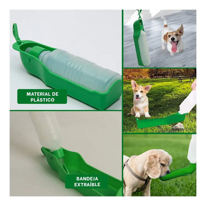 Bebedero de paseo Mascota verde