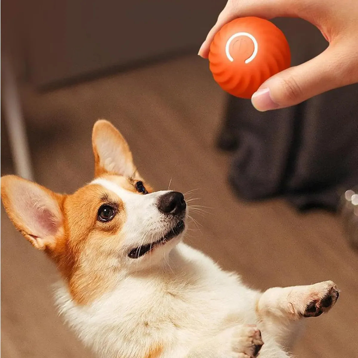 Pelota Giratoria Eléctronica,  Juguete  Para Perros Y Gatos