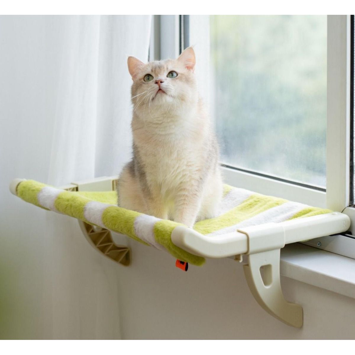 Cama  estilo Hamaca , Colgante para Gatos | Brumako